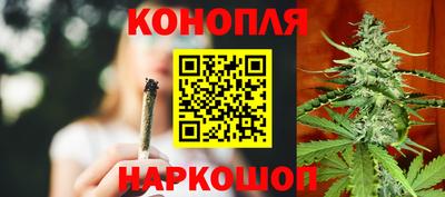 молекула духа Камышлов