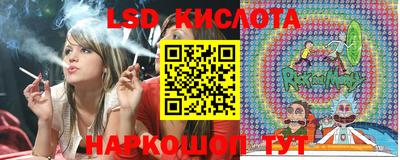 молекула духа Камышлов