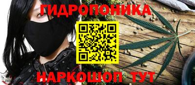 ГАЛЛЮЦИНОГЕННЫЕ ГРИБЫ Канаш