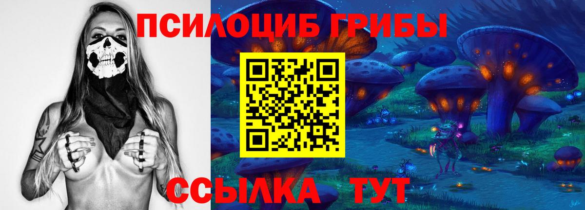 Галлюциногенные грибы прущие грибы  Вход с VPN  Майский 